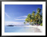 Tropical Beach and Palm Trees, Maldives, Indian Ocean  Print by Danielle Gali