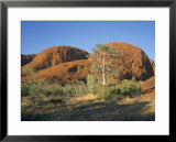 Unusual Weathered Rock Formation, the Olgas, Northern Territory, Australia  Art by Ken Wilson