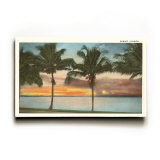 Sunset, Palm Trees, Florida Wood Sign