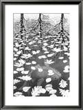 Trois Mondes Affiche par M. C. Escher