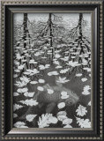Trois Mondes Posters par M. C. Escher