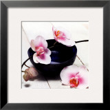 Orchid in a Bowl Posters by Stephane De Bourgies