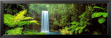 Millaa Millaa Falls, Queensland, Australia  Poster by Peter Lik