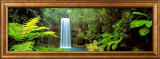 Millaa Millaa Falls, Queensland, Australia  Prints by Peter Lik