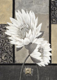 White Waterlily  Poster by Claudia Ancilotti