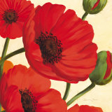 Hawaiian Poppies  Art by Susanne Bach
