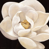 Lotus Flower  Prints by Rian Withaar