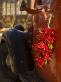 Chile Hang from the Door of an Old Truck, Santa Fe, New Mexico, USA Photographic Print by Ralph Lee Hopkins