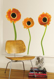 Orange Poppies Wall Decal