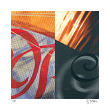 Swans of the Distance Limited Edition by Scott Sandell