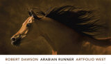Arabian Runner  Prints by Robert Dawson