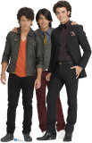 Jonas Brothers - Group Stand Up