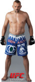 UFC - Chuck Liddell Stand Up