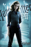 Harry Potter 6  Prints