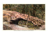 Ozark Region, Arkansas, Art Print