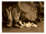Cowboy Puppy Giclee Print by Robert Dawson