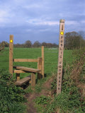 Entrance to Public Footpath, Cheshire, England, United Kingdom, Europe Photographic Print by Nelly Boyd