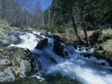 Mountain Stream in La Massana in Andorra, Europe Photographic Print by Jeremy Bright
