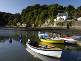 Dart Estuary at Dittisham, South Devon, England, United Kingdom, Europe Photographic Print by Rob Cousins