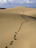Maspalomas Dunes, Gran Canaria, Canary Islands, Spain, Europe Photographic Print by Marco Cristofori