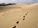 Maspalomas Dunes, Gran Canaria, Canary Islands, Spain, Europe Photographic Print by Marco Cristofori