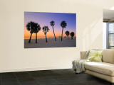 Clearwater Beach, Florida, USA Wall Mural by John Coletti