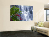 Kepirohi Waterfall, Pohnpei, Federated States of Micronesia Wall Mural by Michele Falzone