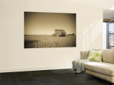 USA, Illinois, Old Route 66, Odell, Barn Wall Mural by Alan Copson