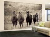 Horses, Montana, USA Wall Mural by Russell Young