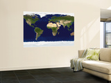 The Blue Marble: Land Surface, Ocean Color and Sea Ice Wall Mural
