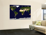 Land Surface, Shallow Water, and Shaded Topography Wall Mural