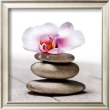Orchidee aux Galets  Poster by Stephane De Bourgies