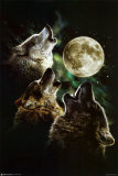 Three Wolf Moon  Prints
