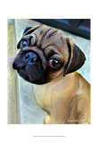 Baby Puglet Poster von Robert Mcclintock
