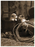 How Bout A Kiss  Prints by Robert Dawson