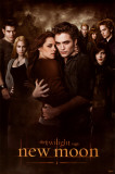 Twilight - New Moon Posters