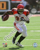 Cedric Benson Photo