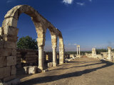 Main Street with Arcades and Tetrastyle, Umayyad Anjar, Lebanon, Middle East Photographic Print by Fred Friberg