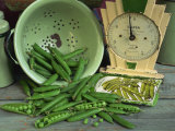 Fresh Garden Peas in an Old Colander with Old Salter Scales and Seed Packet Photographic Print by Michelle Garrett