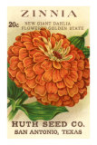 Zinnia Seed Packet Photo