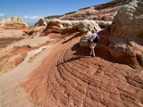 White Pocket, Vermilion Cliffs National Monument, Arizona, USA Photographic Print by Charles Crust