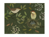 Birds Feathering Nest Estampe