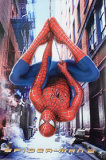Spider-Man 2  Prints