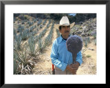 Tequila Plantation Worker, Mexico, North America  Prints by Michelle Garrett