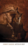 Horse Dancer Posters by Robert Dawson