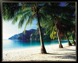 Tonsai Beach, Phi Phi Islands, Thailand  Poster by Josef Beck