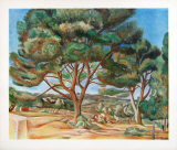 Die Grosse Pinie Kunstdrucke von Andre Derain
