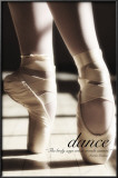 Dance  Poster by Rick Lord