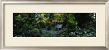 Les Jardins d'Angelique  Art by Alain Le Toquin