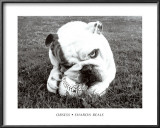 Obsess  Prints by Sharon Beals